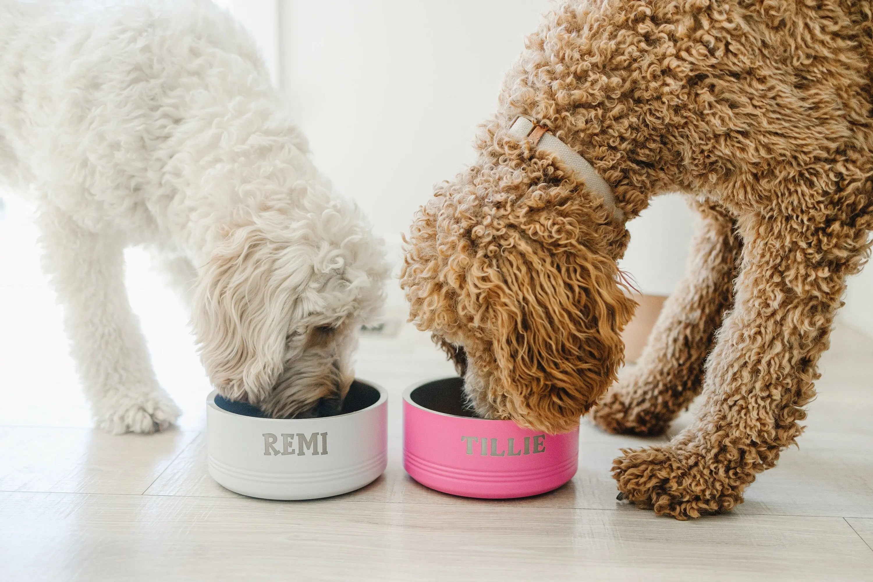 Personalized Dog Bowl, Custom Name Pet Bowl, Stainless Steel