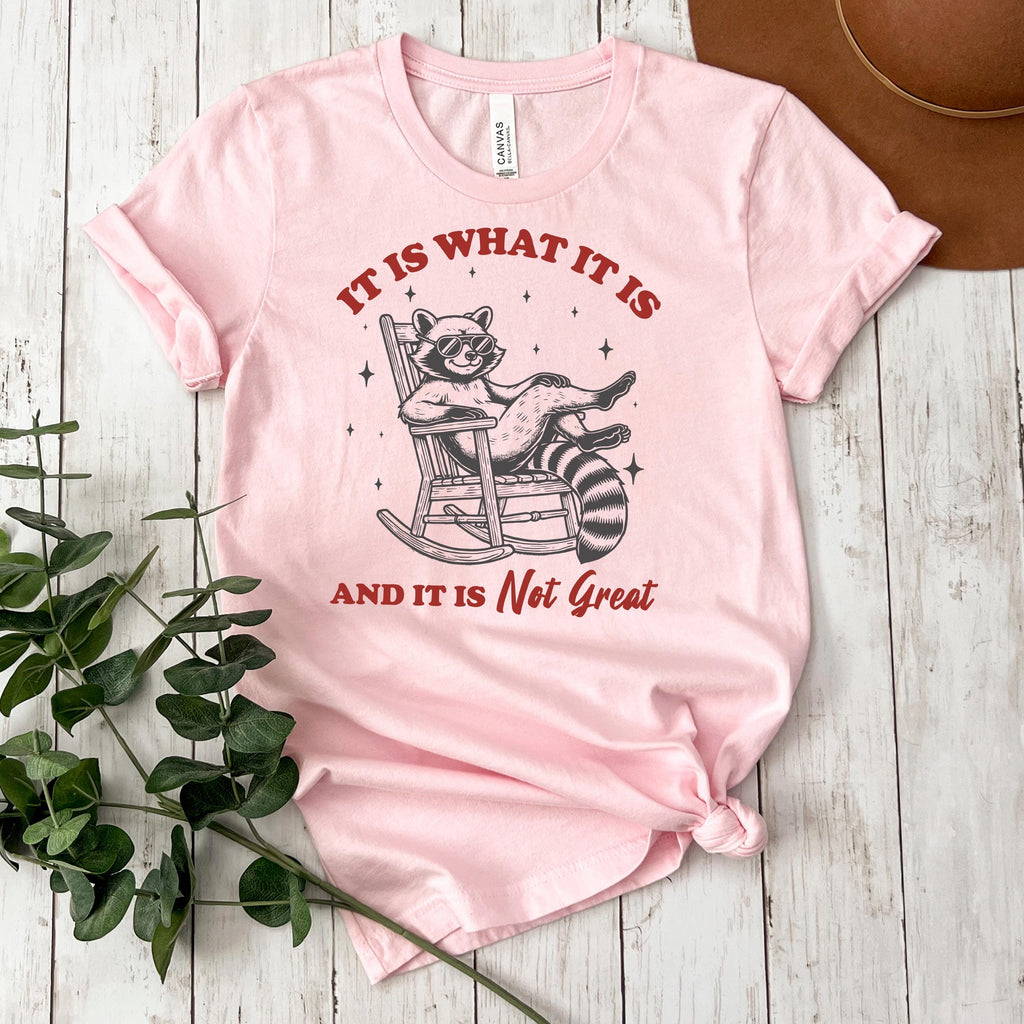 Funny Raccoon Tee Animal Shirt for Women Birthday Gift for Friend Raccoon Graphic Tee Plus Size T Shirt Comfortable Cotton Blend Casual