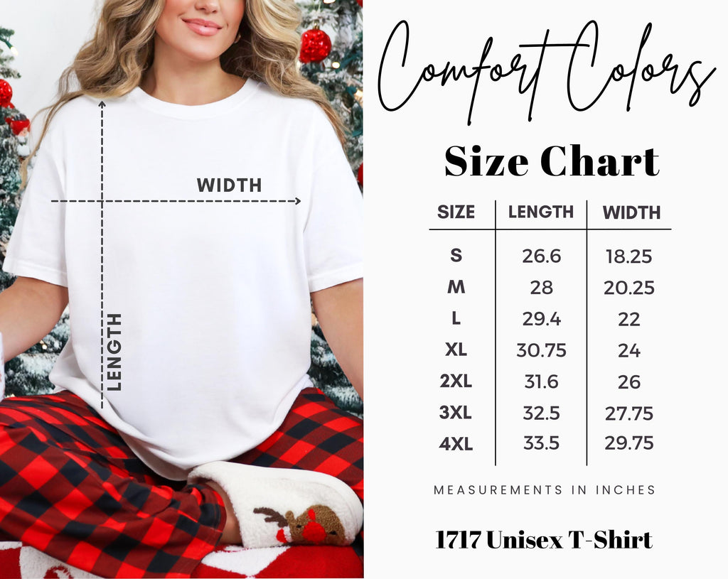 Comfort Colors Christmas T-shirt, vintage retro holiday graphic tee, cozy festive gift for book lovers, all booked for Christmas, gift idea