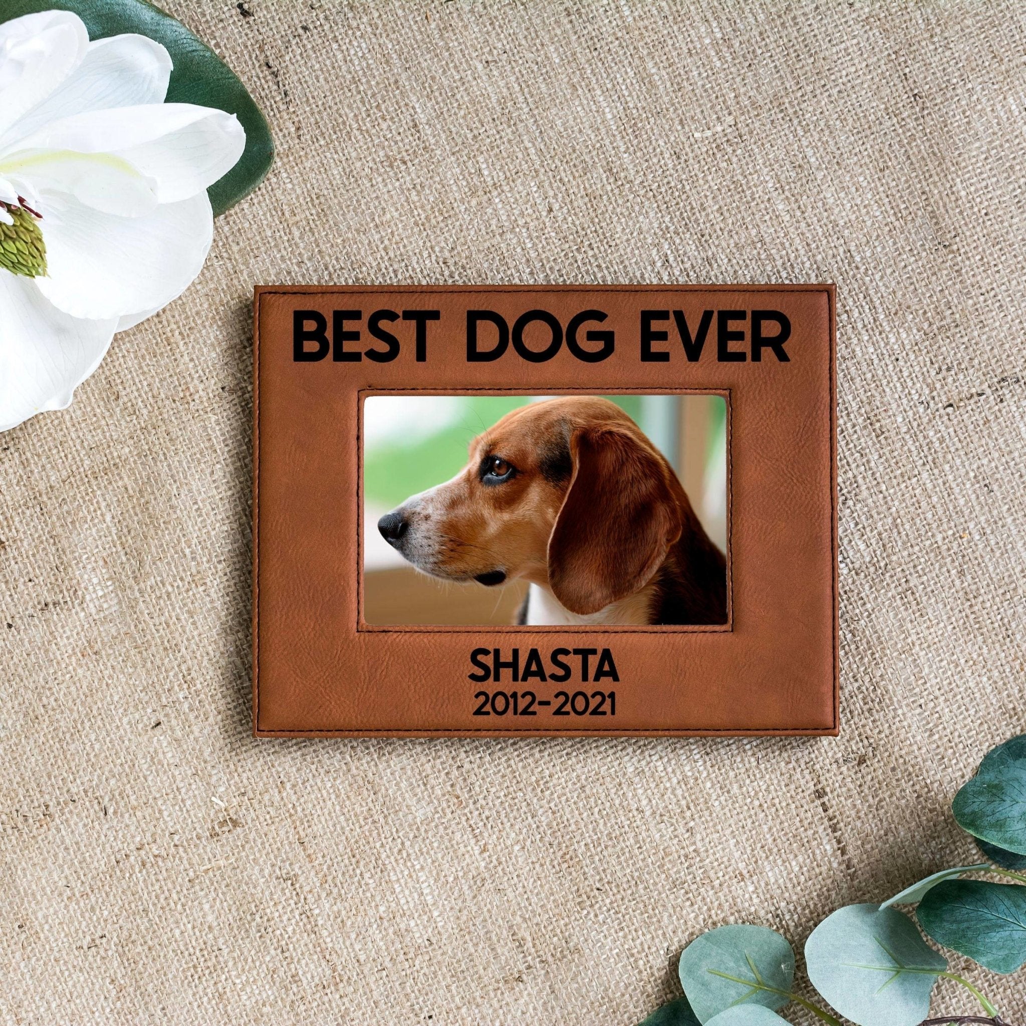 Pet memorial Shadowbox picture frame, Dog collar Memorial